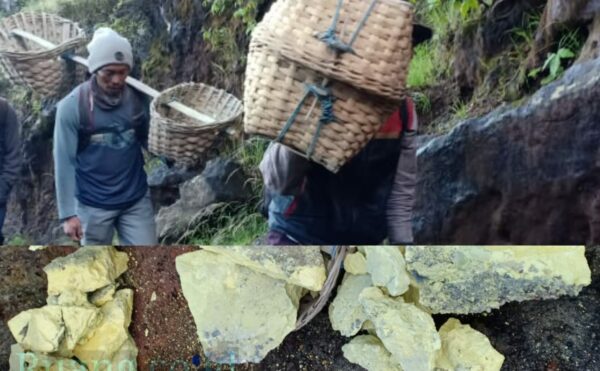 Warga lokal dengan kegiatan menambang belerang