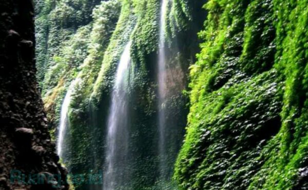 Air Terjun Madakaripura