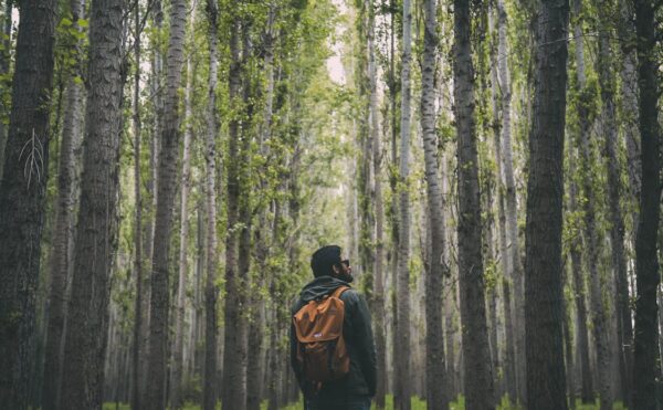 Zodiak yang mencintai kebebasan