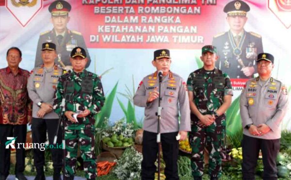 Gugus tugas kerja tanam jagung