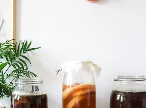 Apa itu minuman kombucha