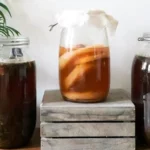 Apa itu minuman kombucha