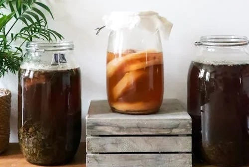 Apa itu minuman kombucha