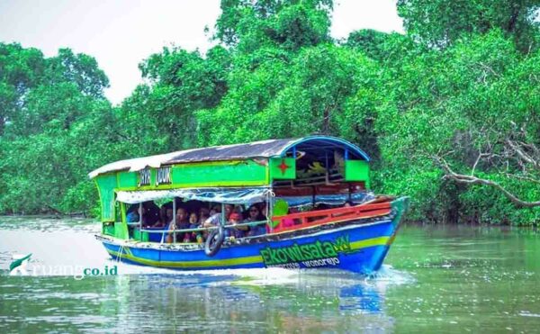 Keindahan Mangrove Wonorejo