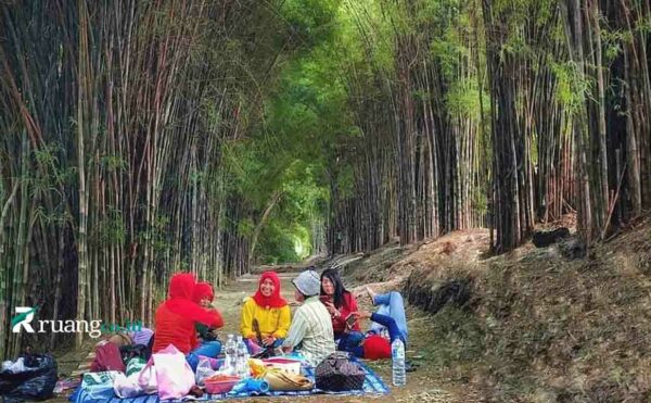 Menikmati Hutan Bambu Keputih Surabaya