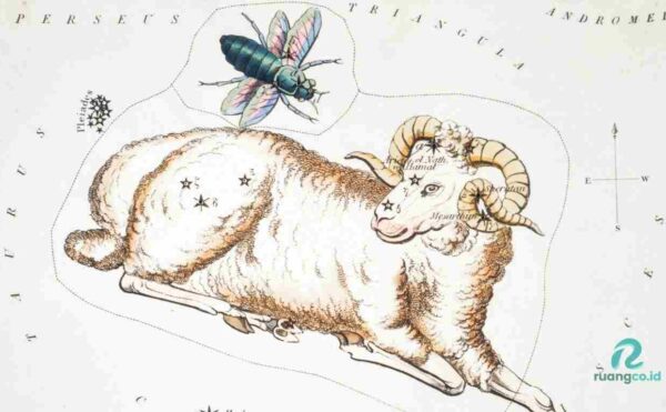 Keunikan zodiak Aries