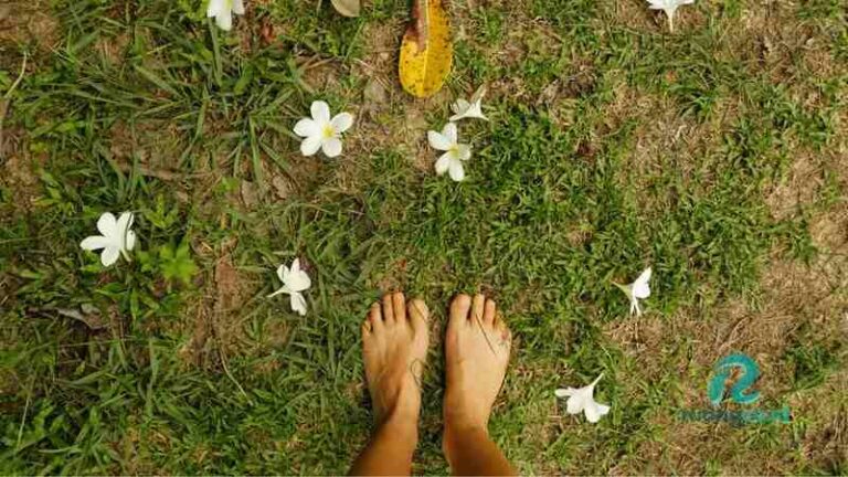 Grounding