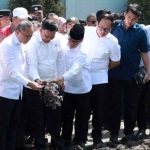 Tambak rumput laut Sidoarjo