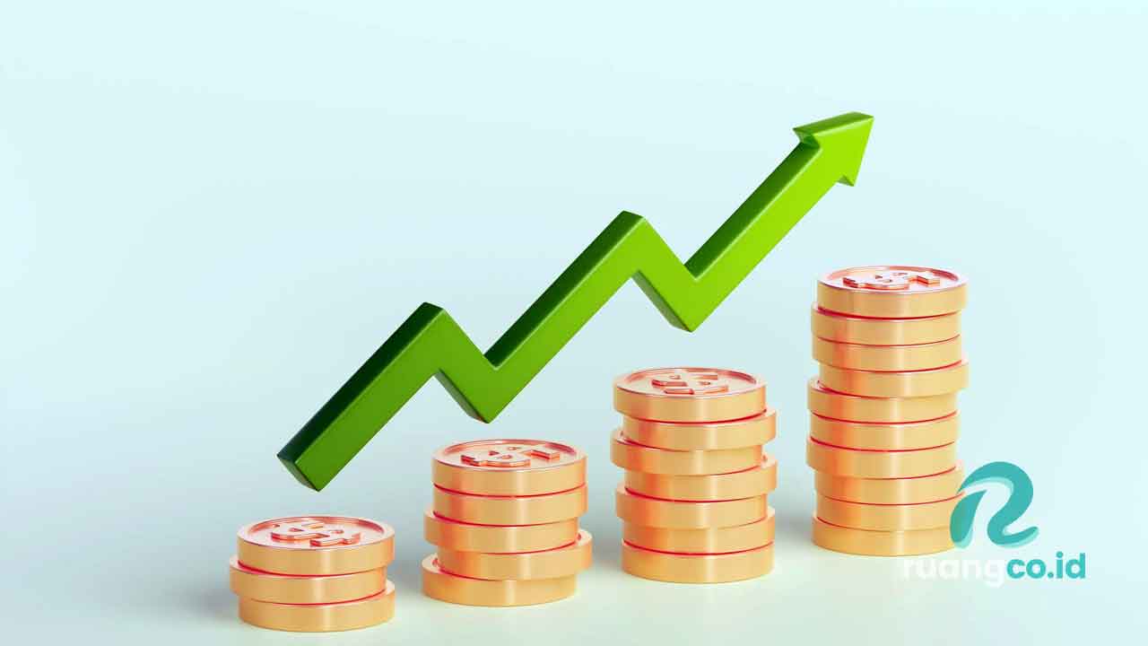 honorarium penyuluh Non-ASN