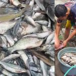 AKAMSI soroti Pencemaran limbah industri