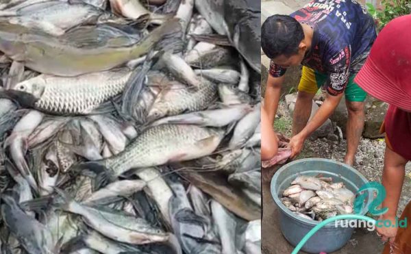 AKAMSI soroti Pencemaran limbah industri