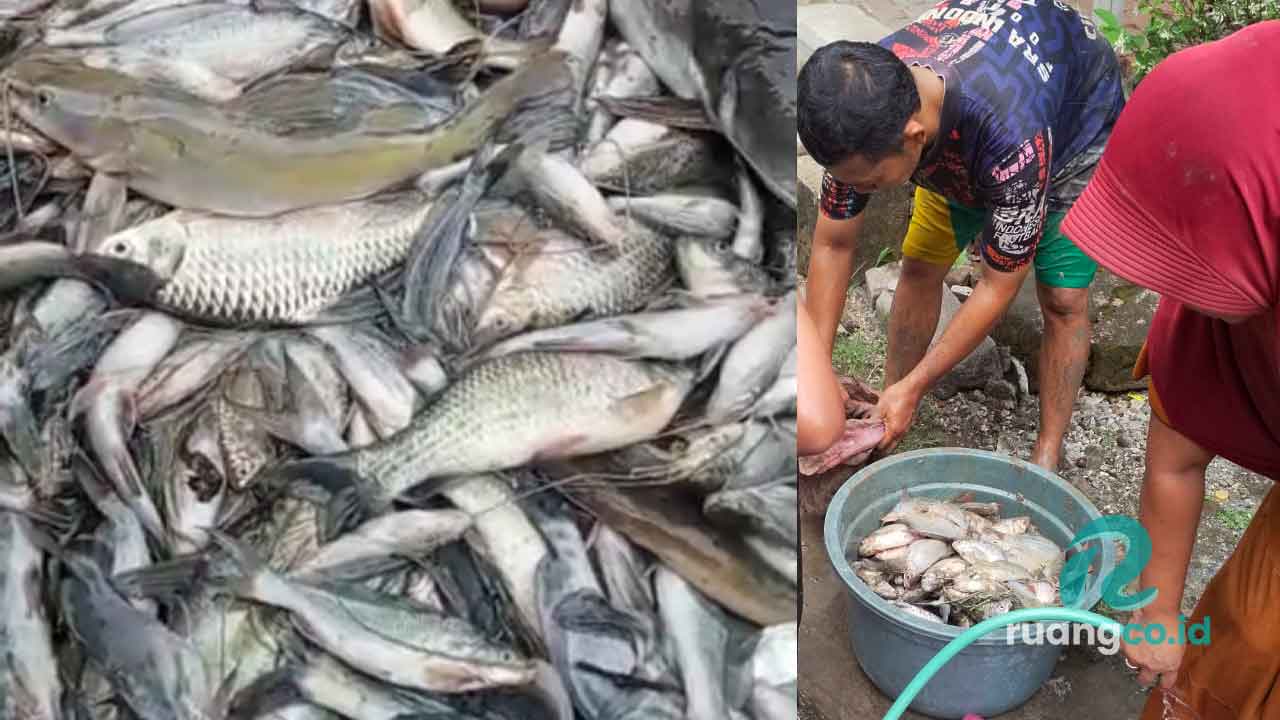 AKAMSI soroti Pencemaran limbah industri