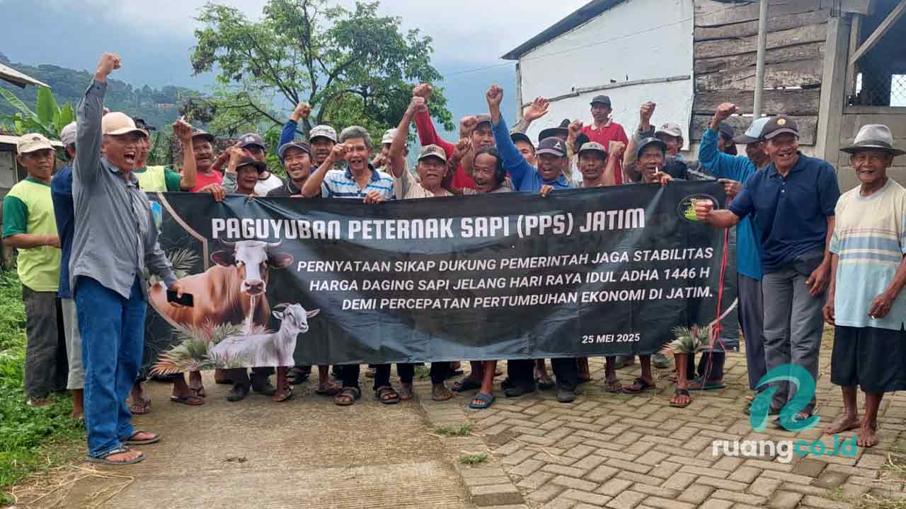 Peternak sapi Jatim