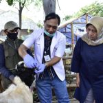 Kurban sehat Idul Adha