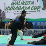 pencak silat