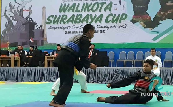 pencak silat