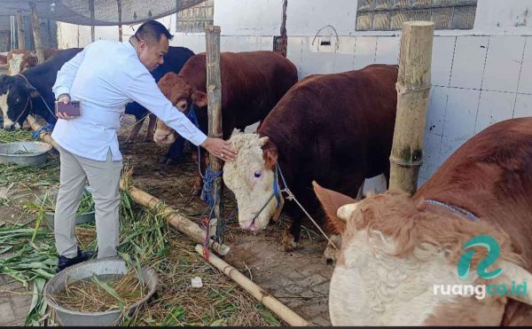 Cak YeBe Bagikan 4000 Paket Daging Kurban di Surabaya