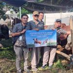 4 Sapi Kurban Surya Sembada