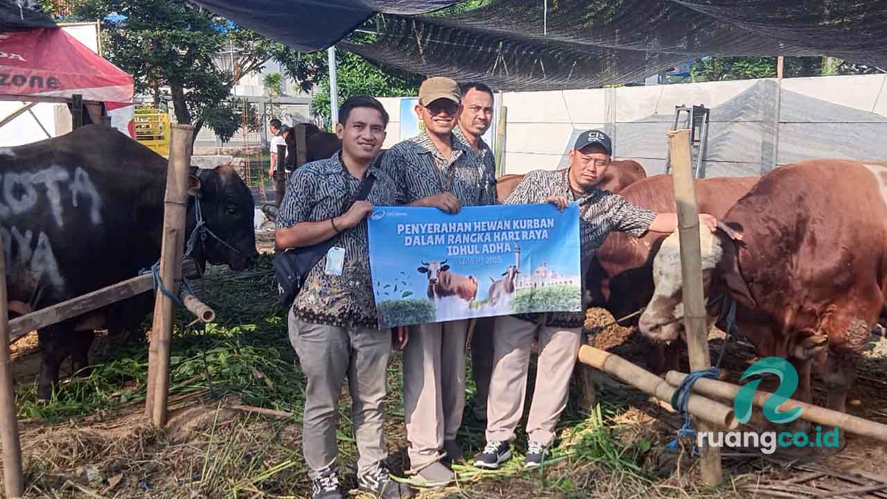 4 Sapi Kurban Surya Sembada