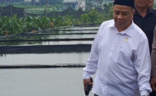 Pokir Dewan untuk Budidaya Ikan