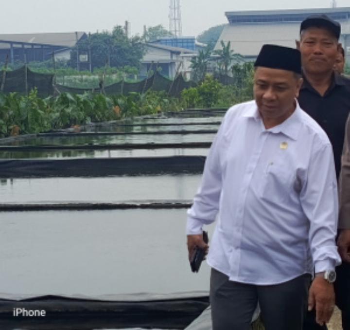 Pokir Dewan untuk Budidaya Ikan