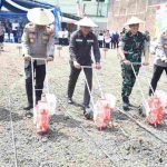 tanam jagung Sidoarjo