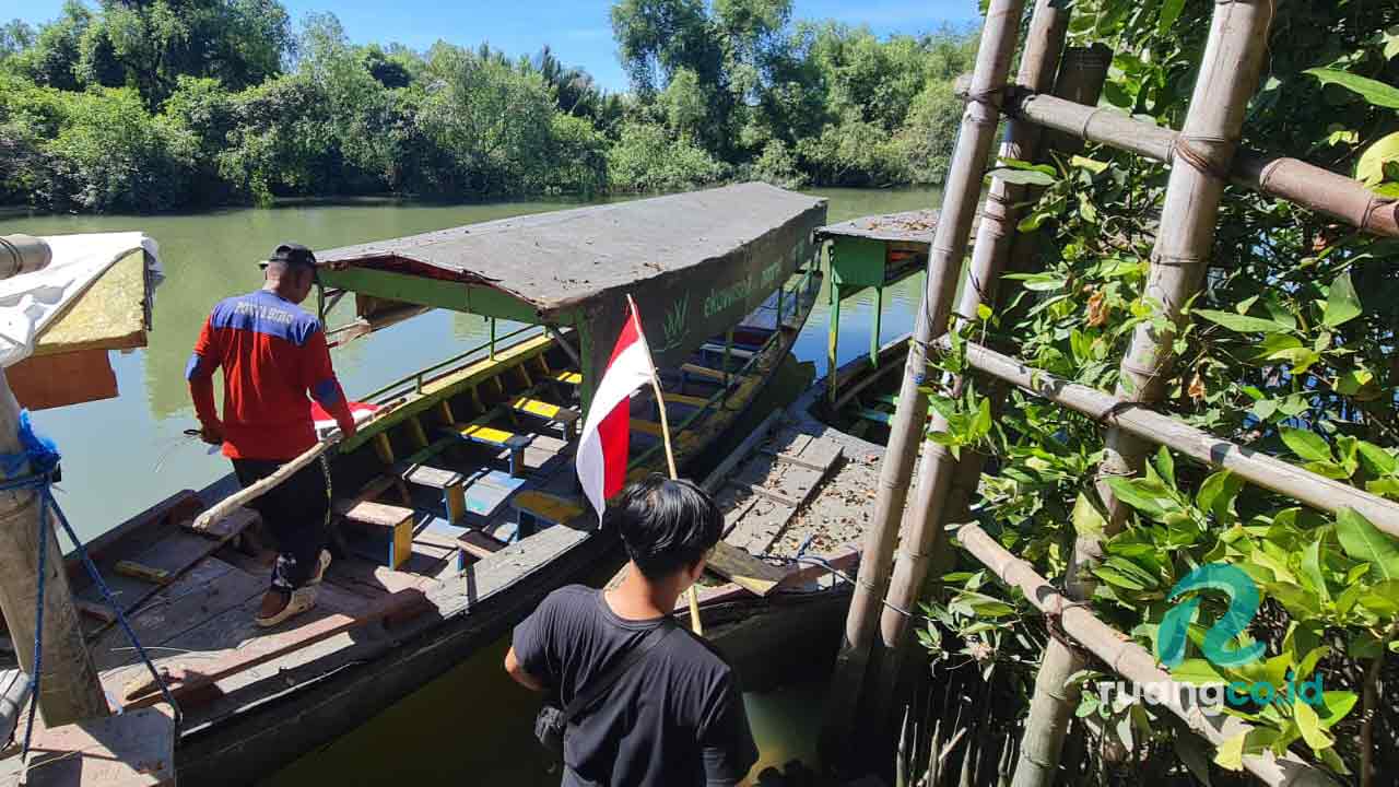 Ekowisata Mangrove Wonorejo