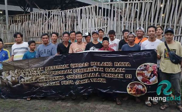 peternak unggas Malang