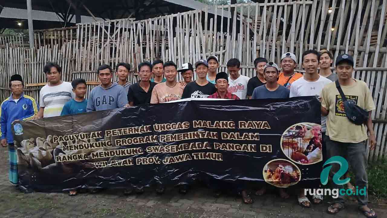 peternak unggas Malang