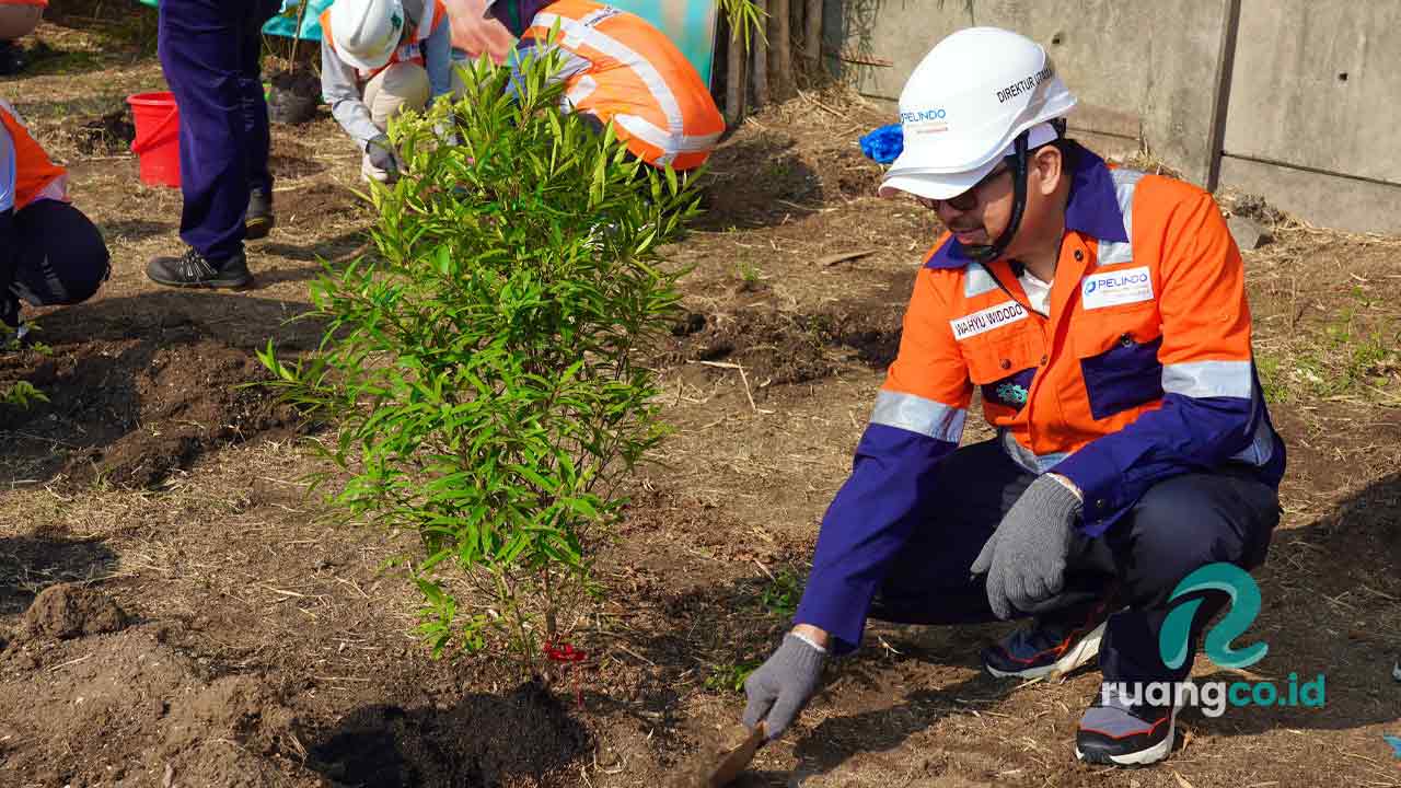 Program penghijauan pelabuhan