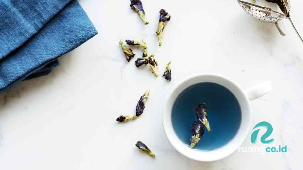 Blue matcha bunga telang