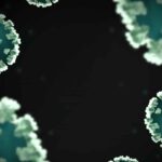 Virus Nipah Indonesia