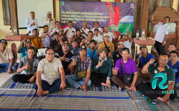 Stabilitas harga cabai Ramadhan 2026