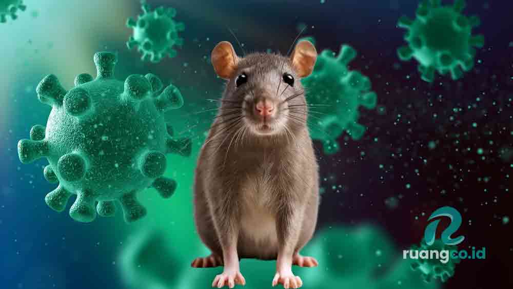 Hantavirus Sidoarjo