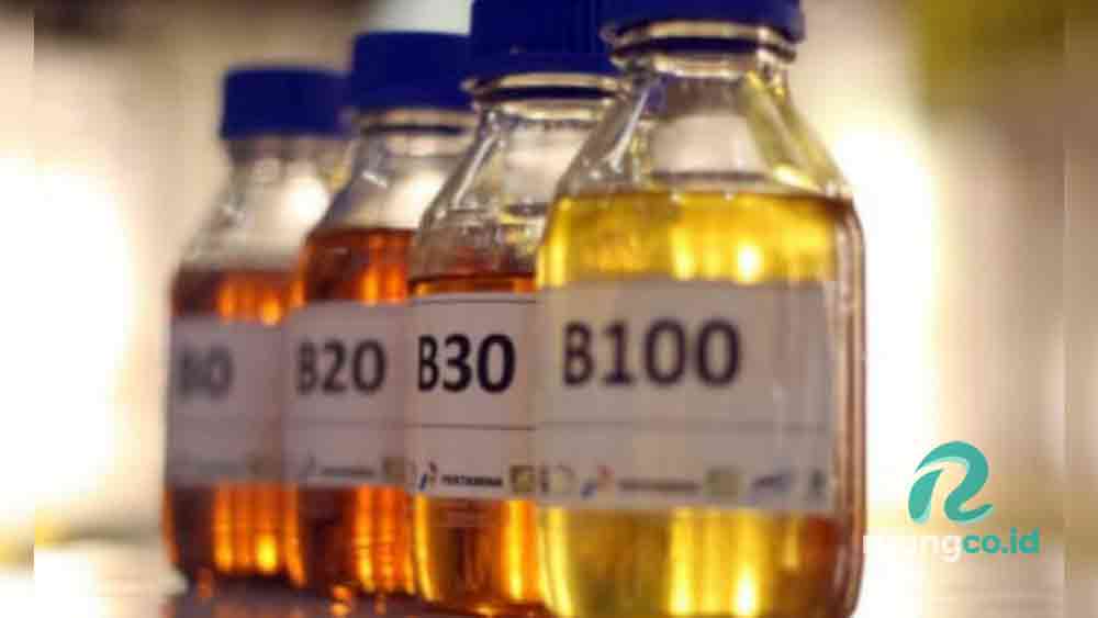 Perbedaan B50 dengan biosolar lainnya