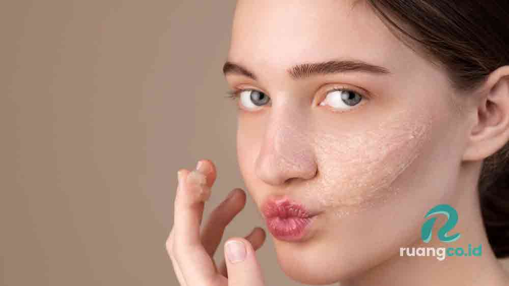 fungsi skin barrier