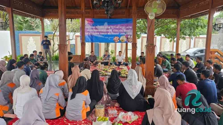 stabilitas harga telur