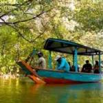 Wisata Mangrove Surabaya Timur