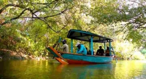 Wisata Mangrove Surabaya Timur