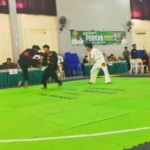 Regulasi Pencak Silat