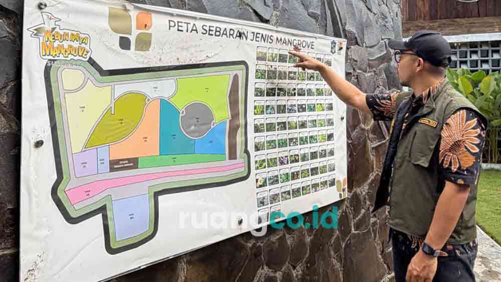 tur virtual Kebun Raya Mangrove Surabaya