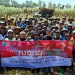 swasembada gula nasional