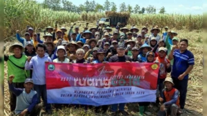 swasembada gula nasional