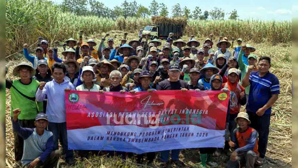 swasembada gula nasional