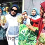 CFD baru Durungbedug