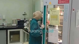 kasus influenza A Naik