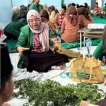 Pelatihan kepemimpinan berbasis resiliensi santri