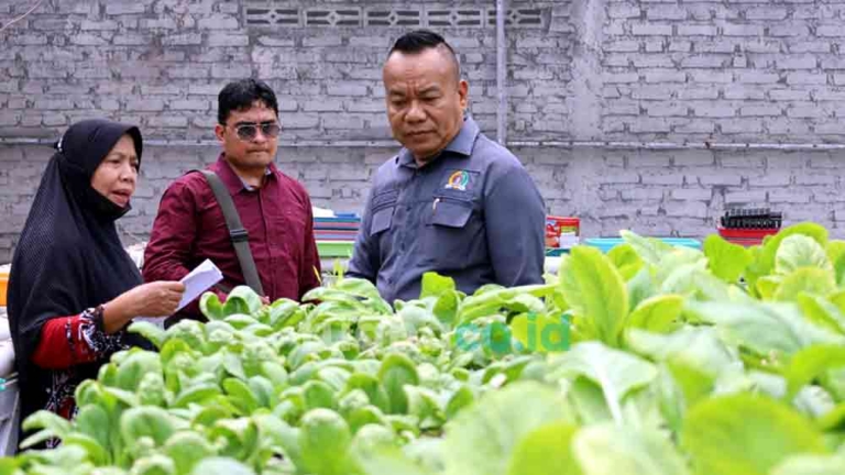 urban farming Surabaya